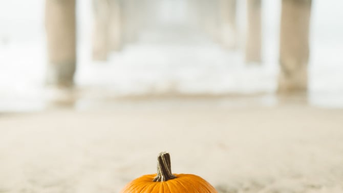 AMI Halloween Traditions that Can’t Be Missed