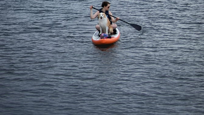 Go Paddleboarding With These Seven Tips