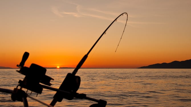 Tips for Hooking the Fish in Late Summer on Anna Maria Island