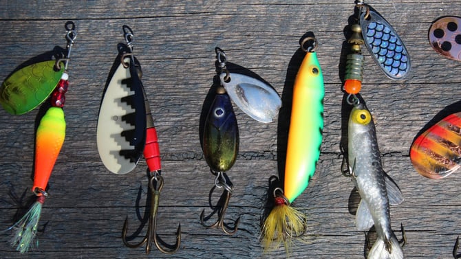 Pro Tips for Fall Fishing on Anna Maria Island