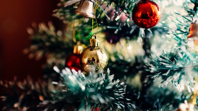 Best Activities to Make Your Holidays Bright on Anna Maria Island