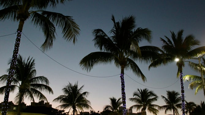 Make It a Magical Anna Maria Island Christmas