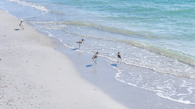 Six Best Ideas for Spending Labor Day in Anna Maria Island