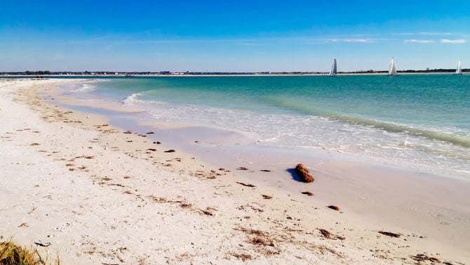 The Best 7 Winter Activities on Anna Maria Island